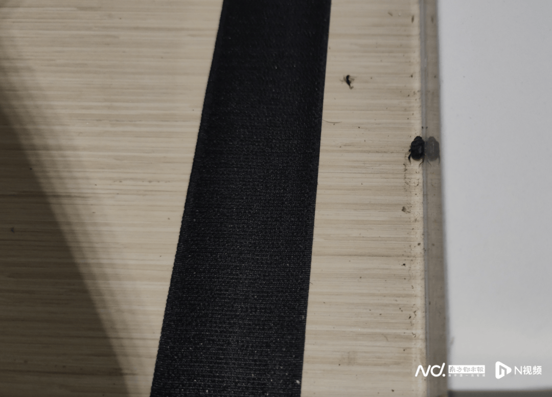 座椅松動(dòng)、護(hù)理臺(tái)發(fā)霉！深圳部分母嬰室管理堪憂<strong></p>
<p>母嬰護(hù)理
</strong>，部門回應(yīng):母嬰護(hù)理
